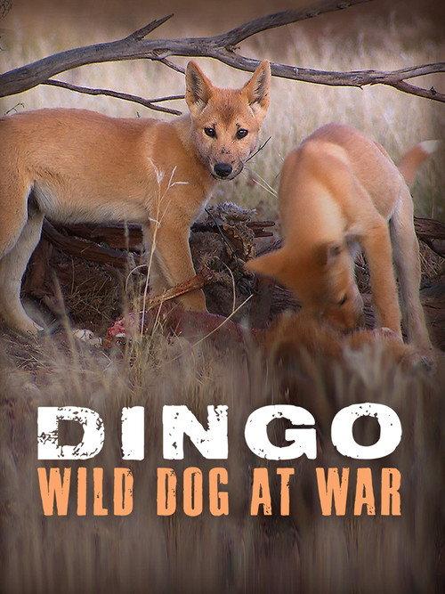 Dingo: Wild Dog at War backdrop