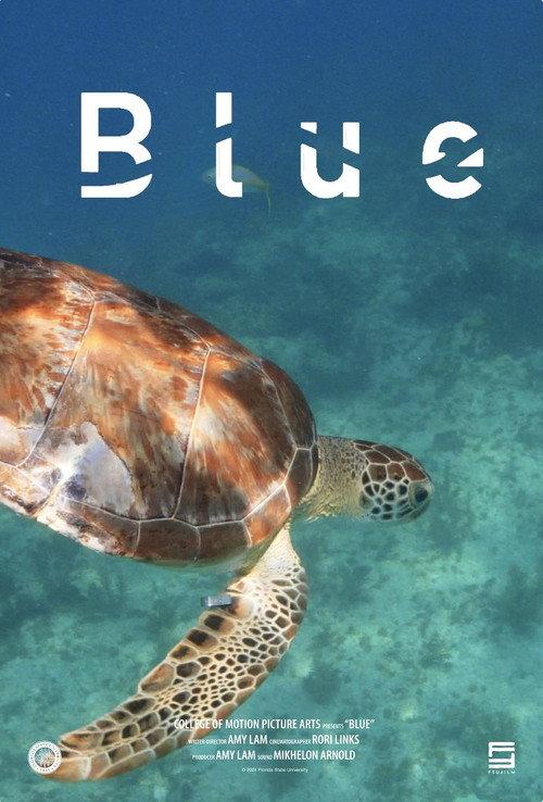 Blue backdrop