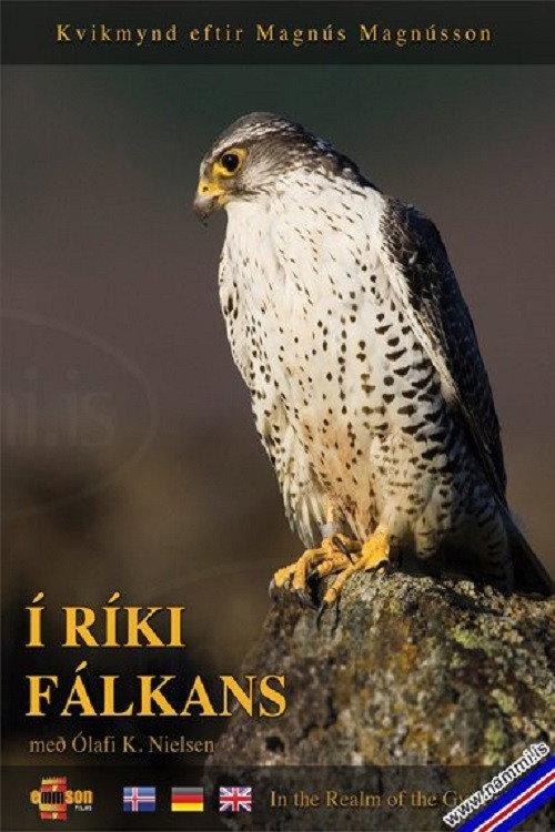In the Realm of the Gyr Falcon backdrop