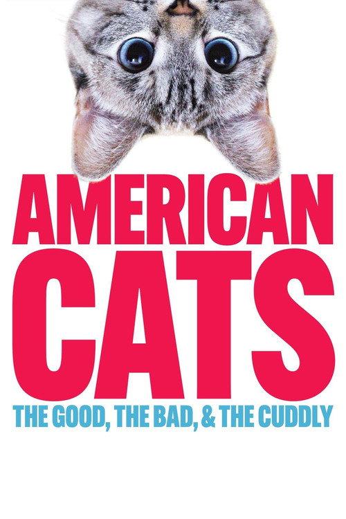 American Cats: The Good, the Bad, and the Cuddly backdrop