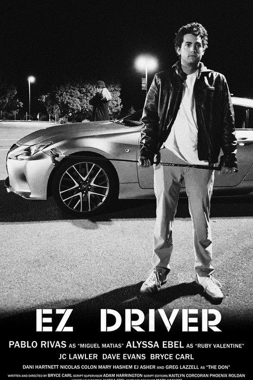 EZ Driver backdrop