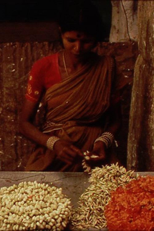 A Depression in the Bay of Bengal backdrop