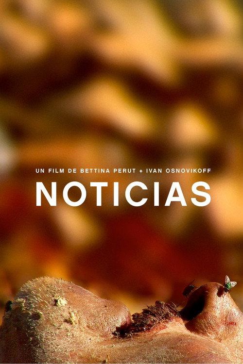 Noticias backdrop