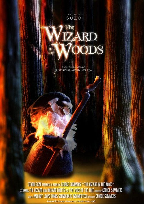 The Wizard in the Woods backdrop