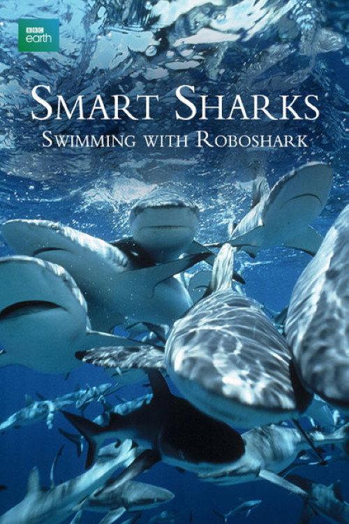 Smart Sharks: Swimming With Roboshark backdrop