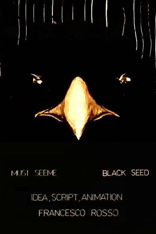 Black Seed backdrop