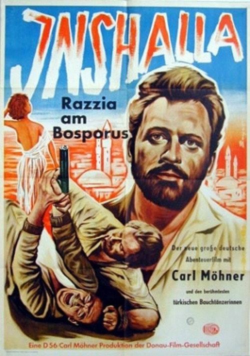 Inshalla – Razzia am Bosporus backdrop