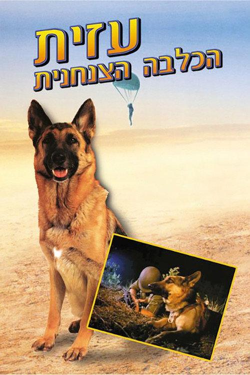 Azit the Paratrooper Dog backdrop