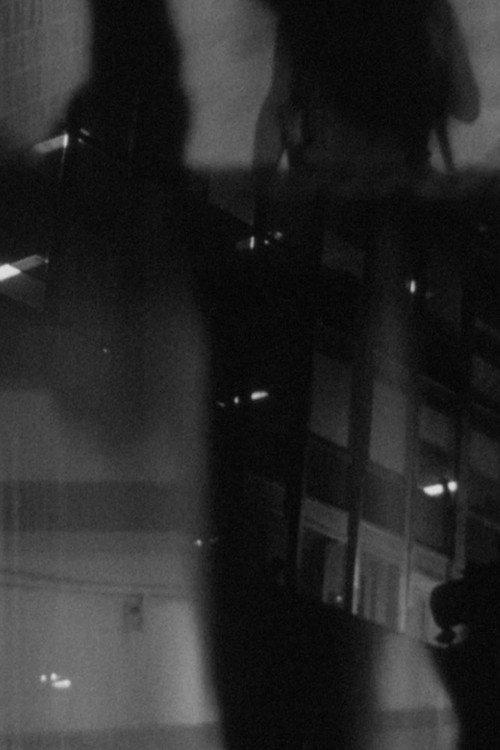 Night Reflection (IV) backdrop