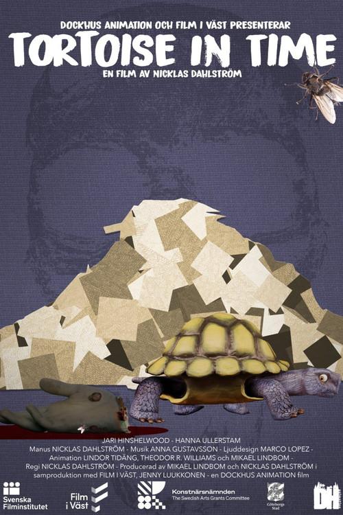 Tortoise in Time backdrop