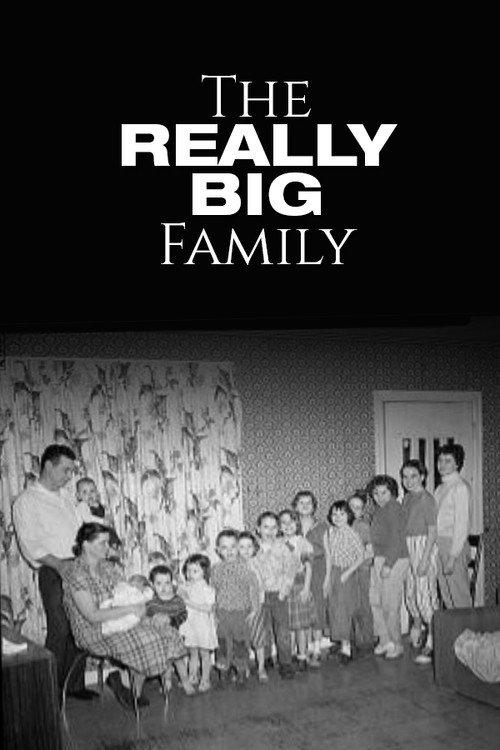 The Really Big Family backdrop