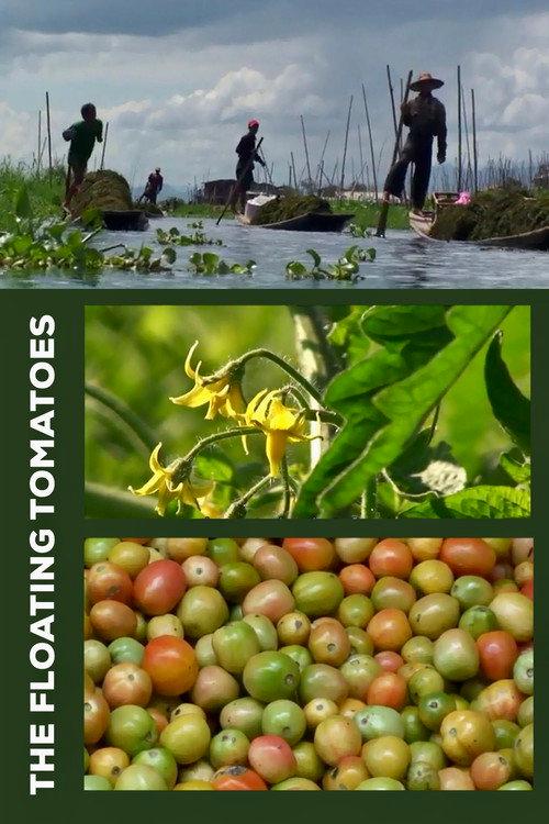 The Floating Tomatoes backdrop