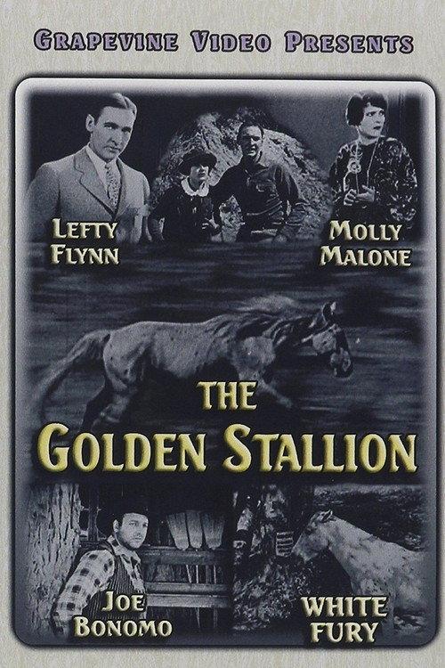 The Golden Stallion backdrop
