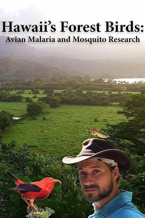 Hawaii's Forest Birds: Avian Malaria and Mosquito Research backdrop