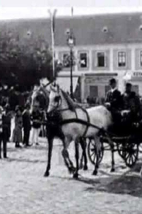 The Unveiling of the Monument to Ferenz Rakoczy backdrop