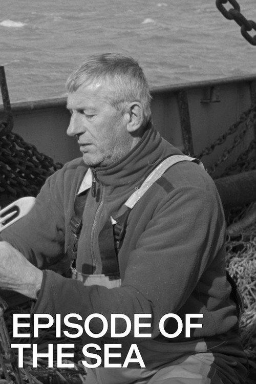 Episode of the Sea backdrop