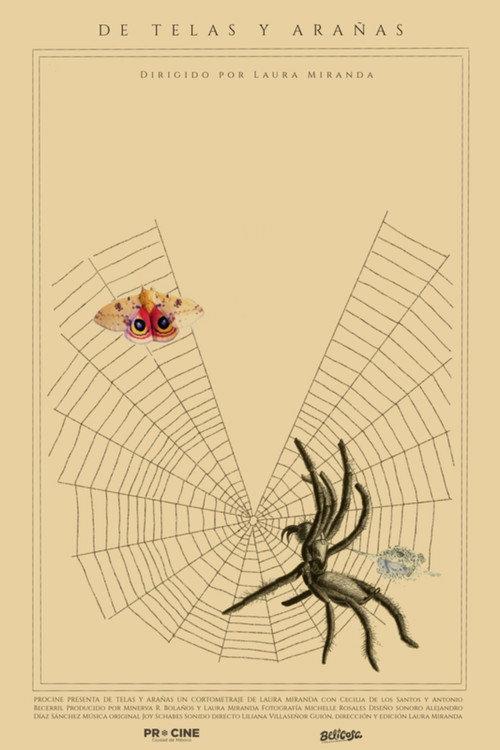 Of Webs and Spiders backdrop