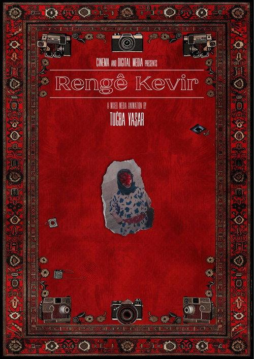 Color of the Stone backdrop