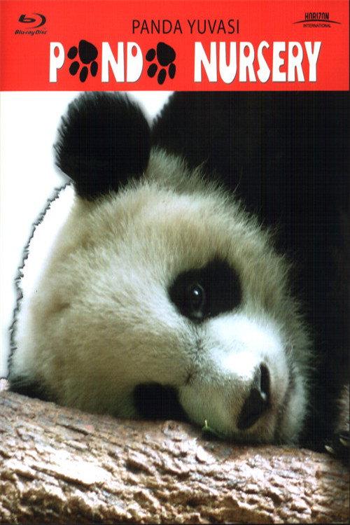 Panda Nursery backdrop