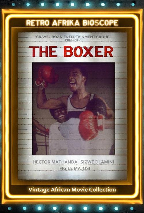 The Boxer backdrop
