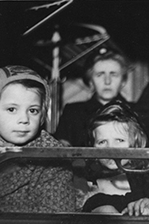 Report on the Refugee Situation backdrop