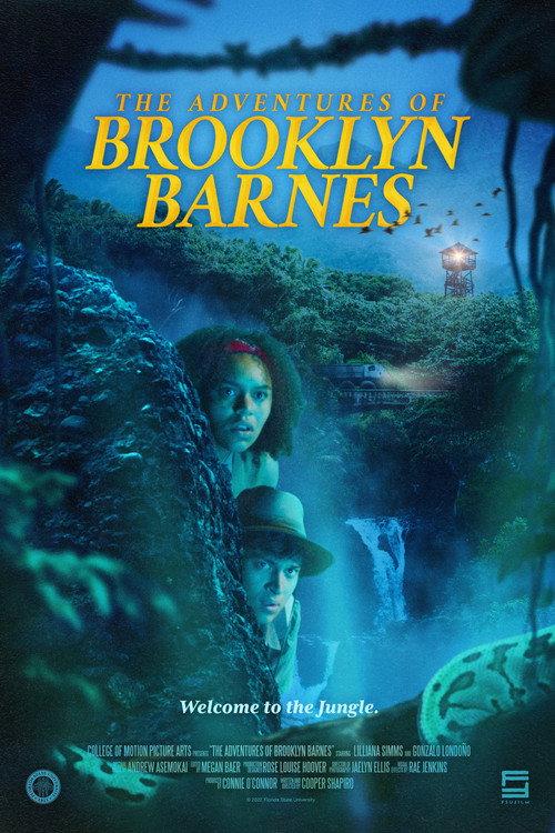 The Adventures of Brooklyn Barnes backdrop