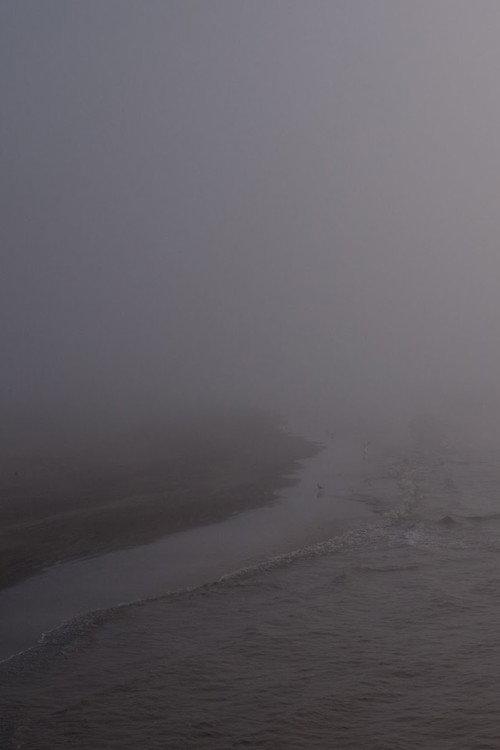 Niebla backdrop