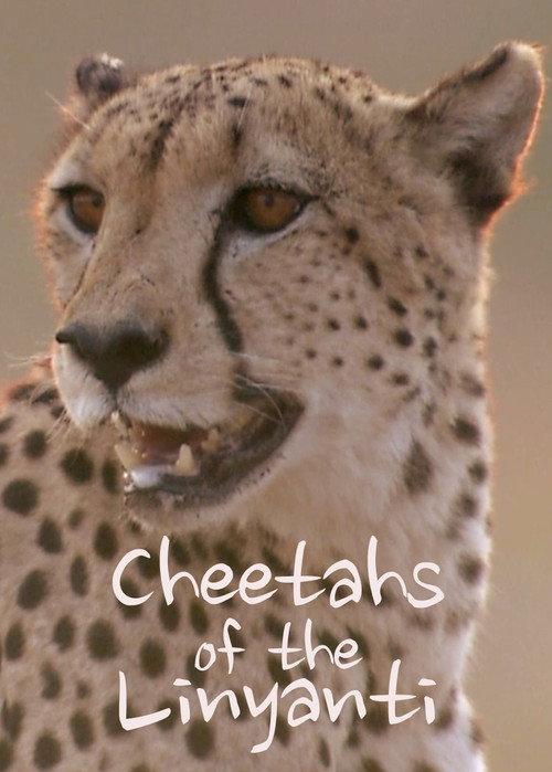 Cheetahs of the Linyanti backdrop