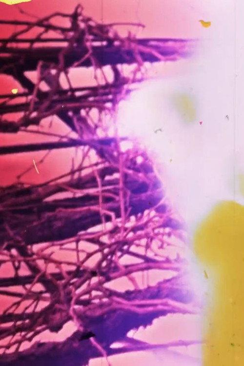 Granular Film - Beirut backdrop