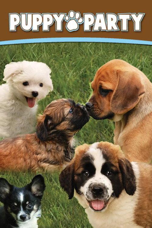 Puppy Party backdrop