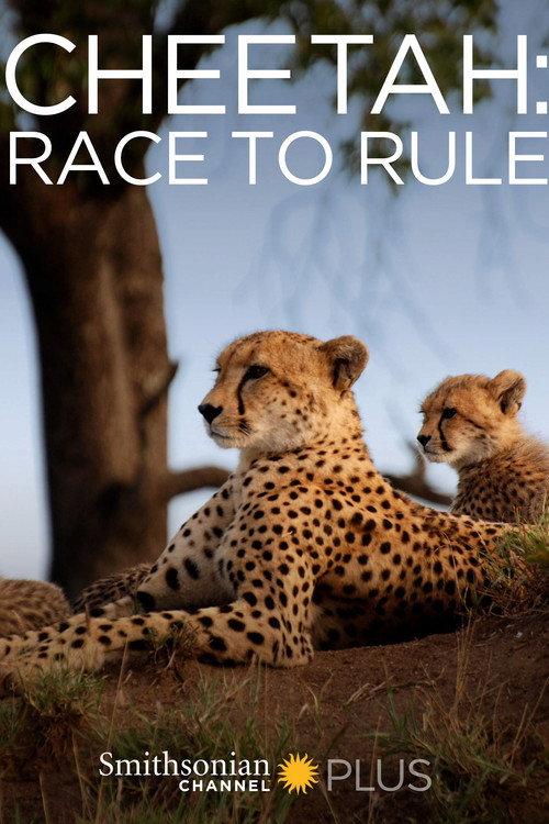 Cheetah: Race to Rule backdrop